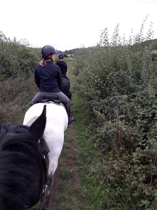 PHOTO-2018-08-27-18-19-36 2